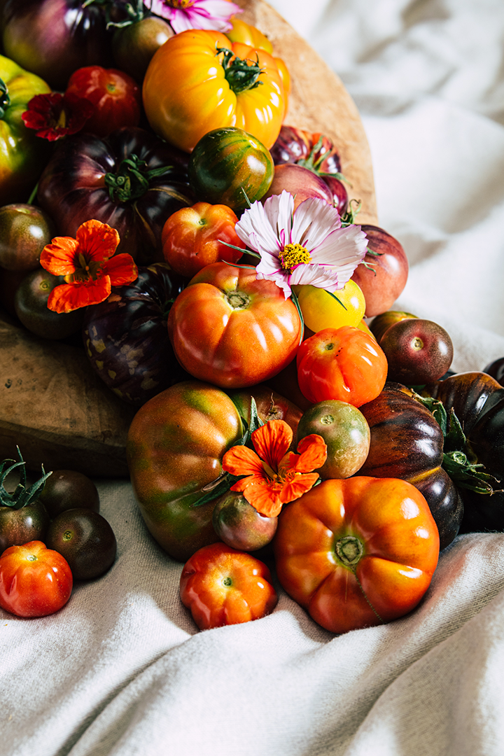 Tomatoes flowers still life style white table